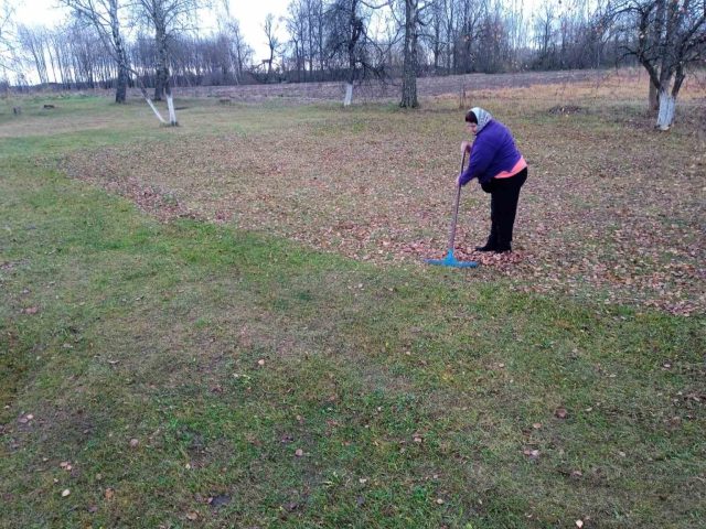 изображение_viber_2025-11-05_09-52-22-720