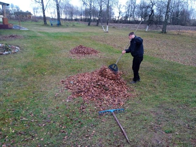 изображение_viber_2025-11-05_09-53-21-272