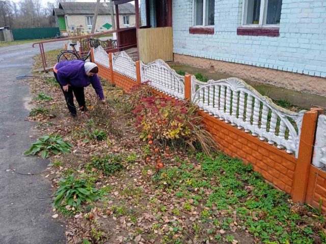 изображение_viber_2025-11-05_09-53-21-851