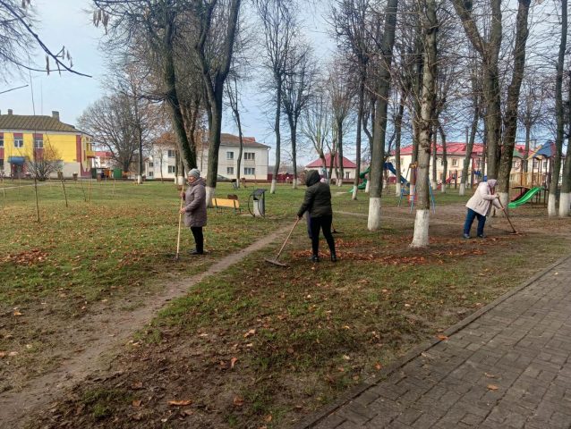 изображение_viber_2025-11-06_11-55-25-248