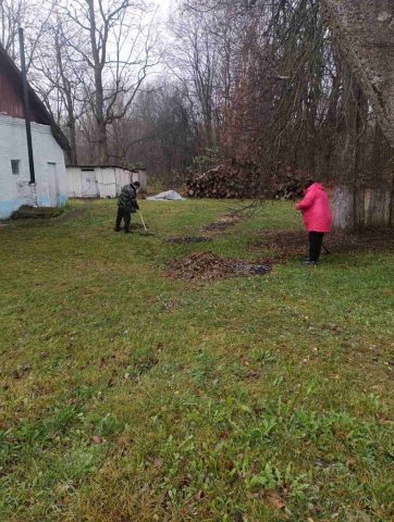 изображение_viber_2025-11-06_12-12-45-614